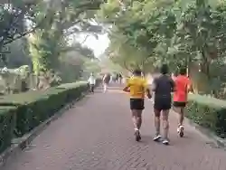 Pengelola Ragunan Siap Menambah 'Jogging Track' Baru untuk Pengunjung